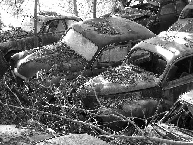 Autofriedhof - 127.JPG - Historischer Autofriedhof,    Gürbetal (CH)